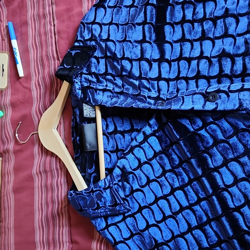 Blue velvet button-down blouse or dress.